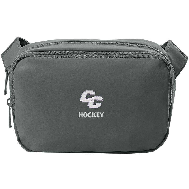 Curry College Matte Dual-Compartment Crossbody