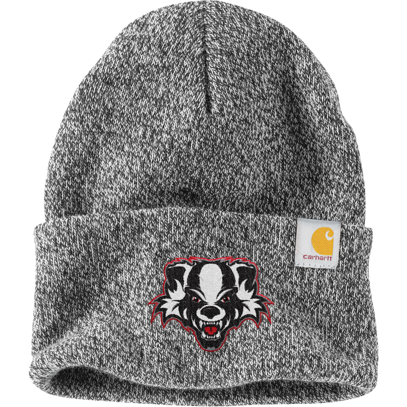 Scary Badgers Carhartt Watch Cap 2.0