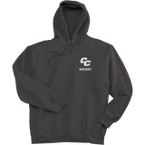 Curry College Ultimate Cotton - Pullover Hooded Sweatshirt